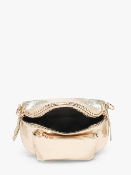 Heuptasje Miniprix Goud sangle 1 ander zicht 2